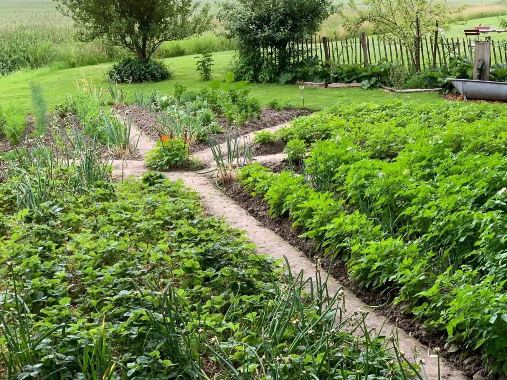 Ferienhof Schoof No2 Friedrichskoog Zewnętrze zdjęcie