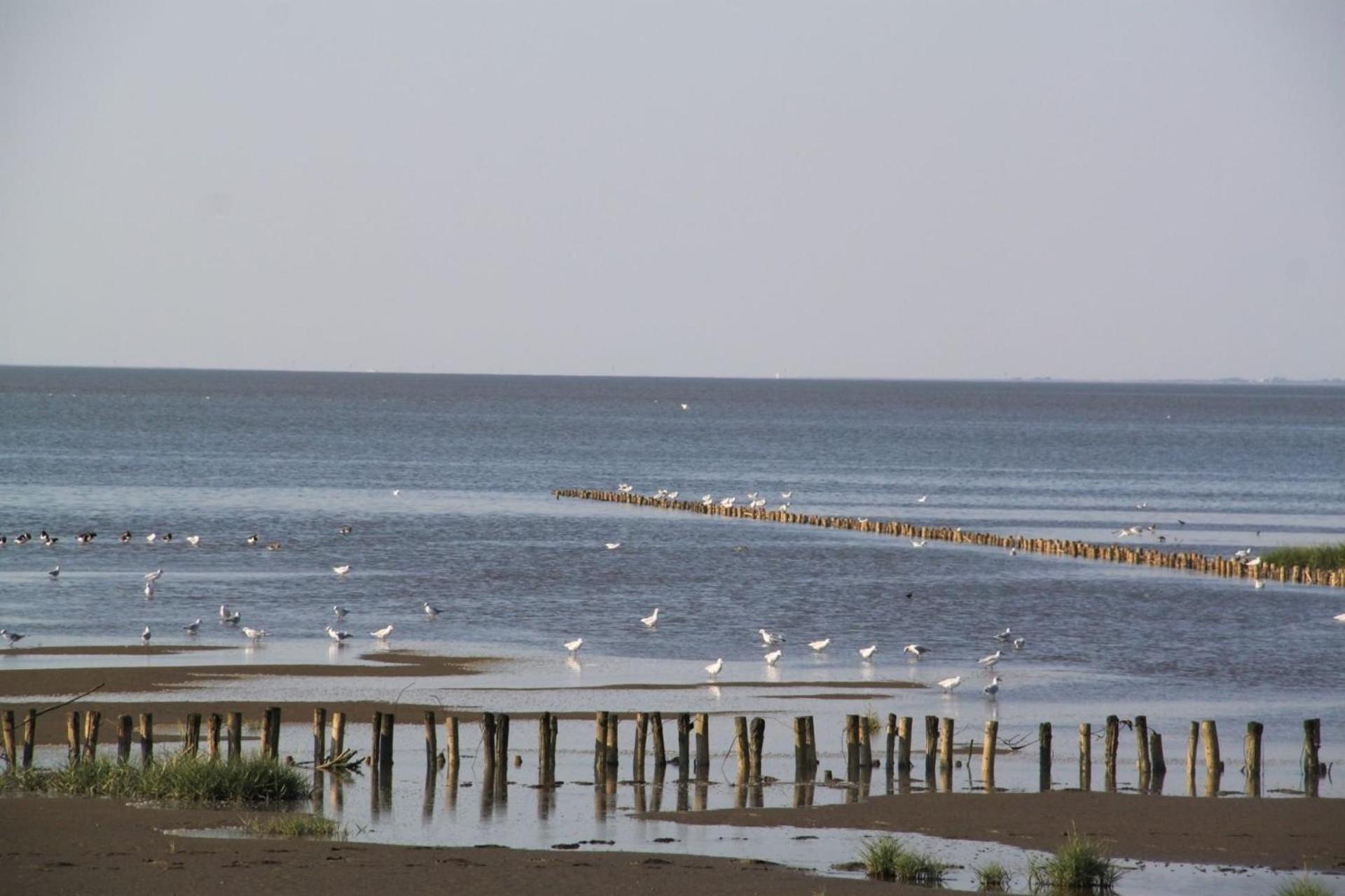 Ferienhof Schoof No2 Friedrichskoog Zewnętrze zdjęcie